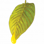 nectar-leaf-logo-vector1.png